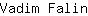 V***n