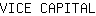 V***L