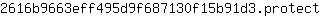 2***t