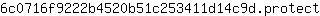 6***t