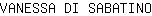 V***O