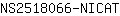 N***T