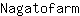 N***m