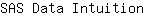 S***n