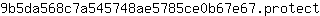 9***t