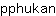 p***n