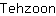 T***n