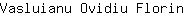 V***n