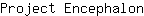 P***n