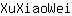 X***i