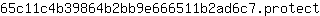 6***t