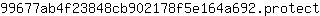 9***t