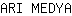 A***A