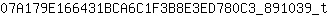 0***t