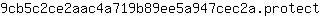 9***t