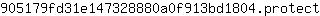 9***t