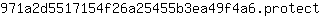 9***t