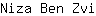 N***i