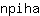 n***a