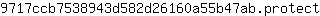 9***t