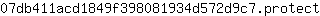 0***t