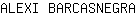 A***A