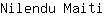 N***i