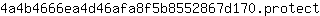 4***t