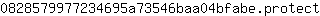 0***t