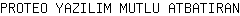 P***N