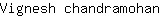 V***n