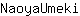 N***i