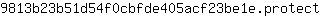 9***t