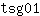 t***1