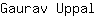 G***l
