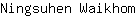 N***m