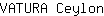 V***n