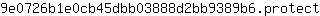 9***t