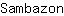 S***n
