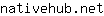 n***t