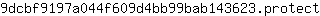 9***t
