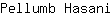 P***i