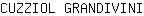 C***I