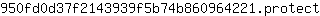 9***t