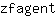 z***t