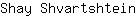S***n