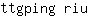 t***u