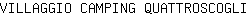 V***I