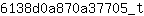 6***t