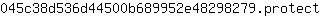0***t